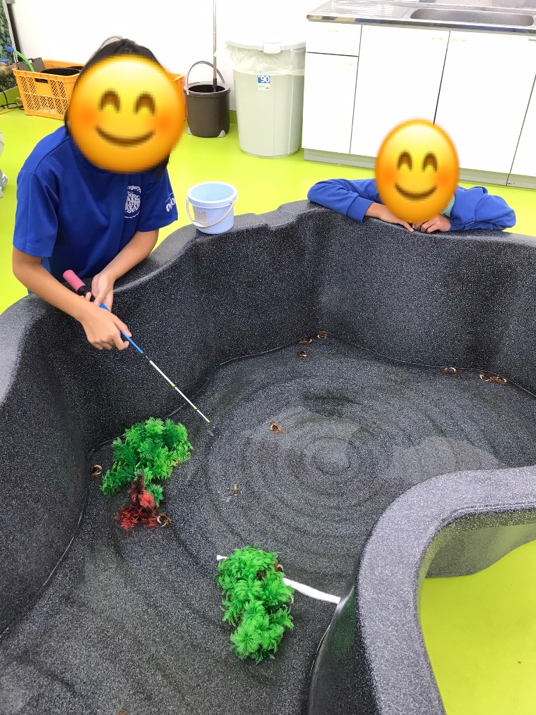 キッズコートぼぬーる 夏休みの思い出　ふれあい動物園🐹🐦